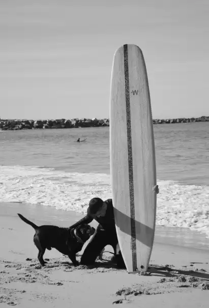 Surfero con perro